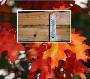 "Це вже остання хвиля тепла": синоптик розповів, коли до України прийде похолодання