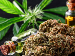 Німеччина обмежує онлайн-продаж канабісу після стрибка імпорту