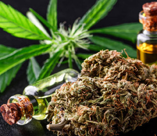 Німеччина обмежує онлайн-продаж канабісу після стрибка імпорту