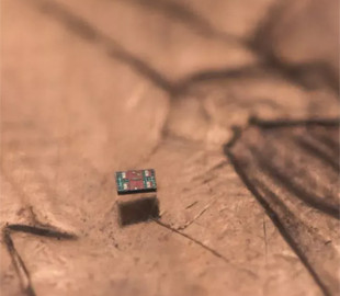 Вчені створили найменших у світі автономних роботів