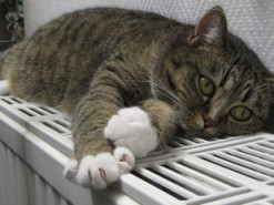 Зима близько: як у Києві готуються до опалювального сезону