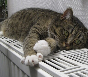 Зима близько: як у Києві готуються до опалювального сезону