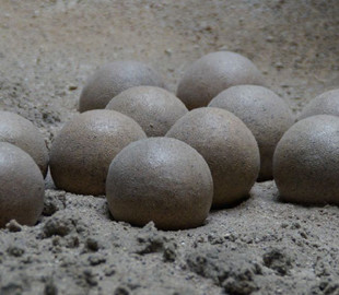 Камінь, що містить агат, виявився яйцем динозавра, якому 60 млн років