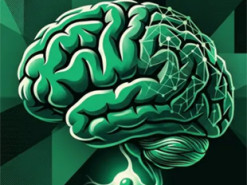 Як одна клітина вибудовує мозок — відкриття, що може змінити AI