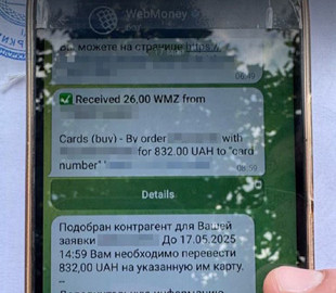 Суд оштрафував українця за використання забороненої системи WebMoney