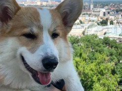 Амбассадором Киева стала собака-блогер (Фото)