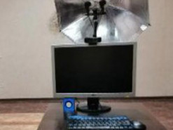 Правоохоронці “накрили” онлайн-порностудію