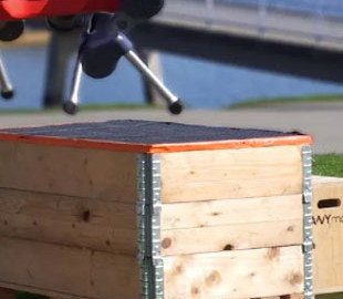 Чотирилапий робот навчився паркуру, щоб краще долати перешкоди