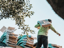 Стало відомо, які професії точно не знищить штучний інтелект: експерти назвали перелік