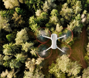 Дрони зі штучним інтелектом висаджують дерева у 10 разів швидше за людей