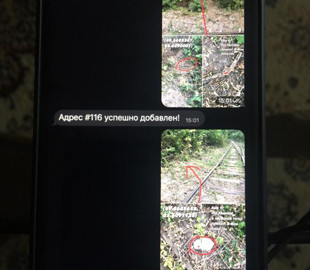 Правоохоронці викрили групу з 7 осіб, які торгували канабісом за допомогою «Телеграму»