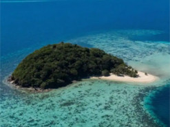 Науковці дозволили штучному інтелекту керувати справжньою державою