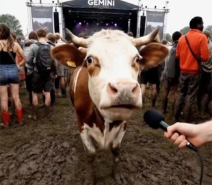 ШІ-генератор відео від Google раптово став безкоштовним для всіх: як скористатися