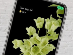 На екрані вашого смартфона раптом загорілася зелена точка: чи варто переживати