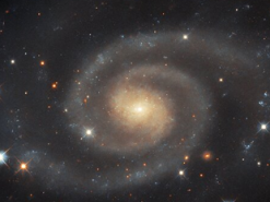 «Хаббл» показав спіральну галактику UGC 11105