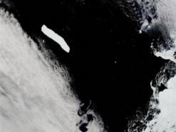 NASA показала фото найбільшого айсберга