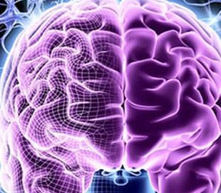 Вчені підрахували кількість думок у голові людини за день