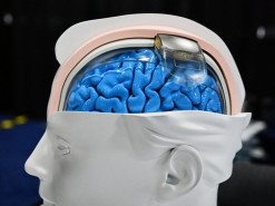 Reload хоче надати ШІ-агентам користувача спільну пам'ять