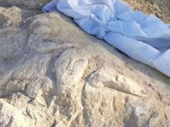 В Іспанії на скелі знайшли зображення, якому 2000 років