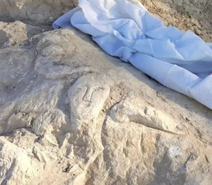 В Іспанії на скелі знайшли зображення, якому 2000 років