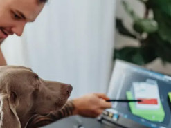 Чи може штучний інтелект перекладати мову тварин: науковці вразили відкриттями