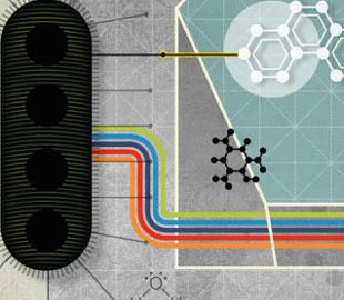 Биологи создали электропроводку для смартфонов из бактерий