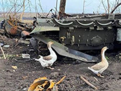 Украинские «боевые гуси» появились на фоне уничтоженной техники оккупантов