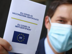 В Испании разоблачили международную группировку, подделывающую COVID-сертификаты