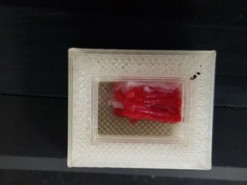 Озвучено ціну на мармурову яловичину з 3D-принтера