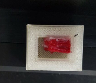 Озвучено ціну на мармурову яловичину з 3D-принтера