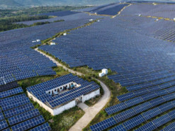 Зелене світло. Як відновлювана енергетика вперше стала вигіднішою за викопне паливо