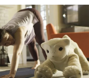 Більше ніж машина. Співзасновник iRobot представив роботизованого домашнього улюбленця