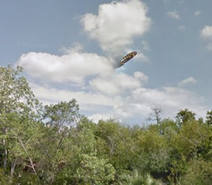 Обнаруженный в Google Maps «НЛО» оказался бабочкой