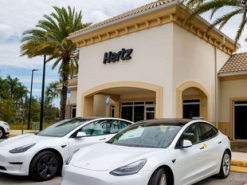 Американская компания купила рекордное количество электромобилей