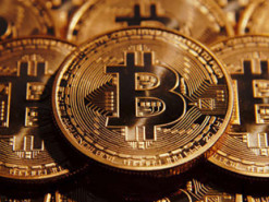 Украинский депутат сельсовета задекларировал 124 биткоина и 500 акций Tesla