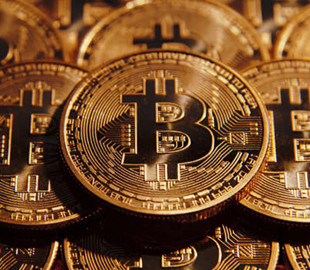 Украинский депутат сельсовета задекларировал 124 биткоина и 500 акций Tesla