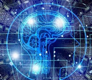 Названы основные технологические тренды на 2019 год