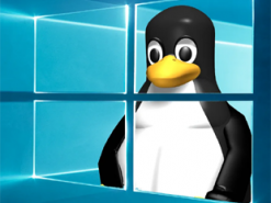 Чому програмісти та сисадміни люблять Linux замість Windows