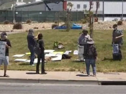 Сотрудники Tesla требуют ареста Илона Маска