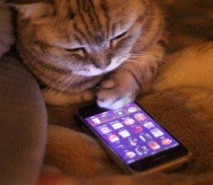 Як прискорити роботу смартфона власними силами: сім порад