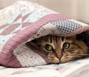 Рекордно холодный первый день лета в Украине высмеяли в фотожабах