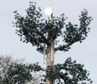 В CША курьеры вешают смартфоны на ветки деревьев