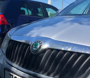 Є ліміт щодо ціни авто: для кого в Україні продовжать "нульове" розмитнення