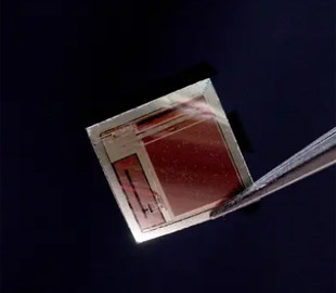 Вчені створили надтонкий чип для мозку, який у 100 разів швидший за аналоги