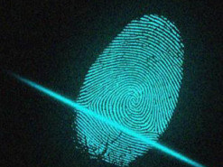 Цифровые отпечатки GPU позволяют отслеживать пользователей в Сети