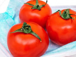 Спалах "томатного грипу" в Індії. До чого тут помідори та чого побоюються вчені