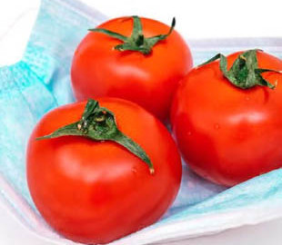 Спалах "томатного грипу" в Індії. До чого тут помідори та чого побоюються вчені