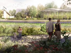 В Нидерландах построят деревню будущего