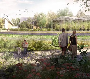 В Нидерландах построят деревню будущего