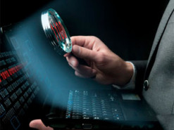 Названы самые активные вирусы